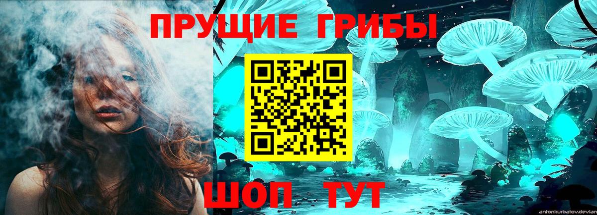 Осинники  Галлюциногенные грибы мицелий  Вход с VPN 