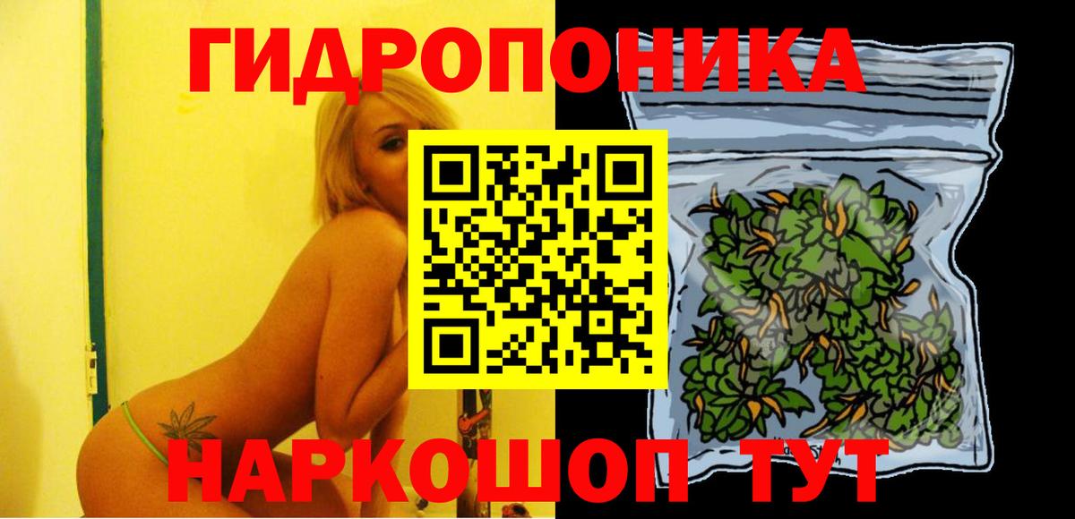 Осинники  Бошки Шишки сатива  Каннабис сатива  Бошки марихуана Ganja  Вход с VPN 